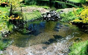 Picturesque Snowy Mountains Retreat - Yaouk, Australia