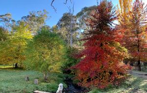 Picturesque Snowy Mountains Retreat - Yaouk, Australia