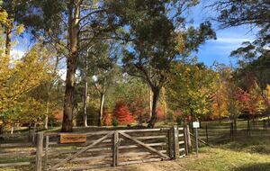Picturesque Snowy Mountains Retreat - Yaouk, Australia