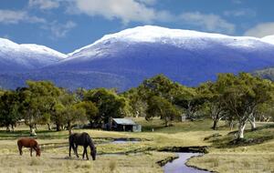Picturesque Snowy Mountains Retreat - Yaouk, Australia