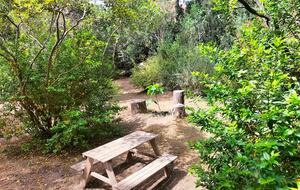 Villa Mangoni - Santa Margherita di Pula, Cagliari, Italy