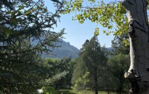 Lucky Dog Ranch - Durango, Colorado
