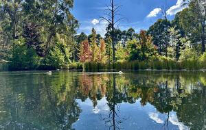 Picturesque Snowy Mountains Retreat - Yaouk, Australia