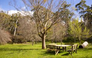 Picturesque Snowy Mountains Retreat - Yaouk, Australia