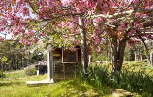 Picturesque Snowy Mountains Retreat - Yaouk, Australia