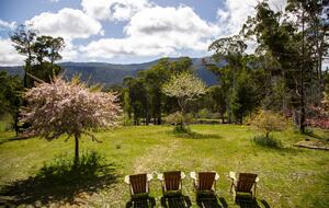 Picturesque Snowy Mountains Retreat - Yaouk, Australia