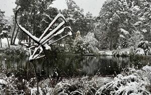 Picturesque Snowy Mountains Retreat - Yaouk, Australia