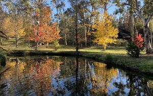Picturesque Snowy Mountains Retreat - Yaouk, Australia