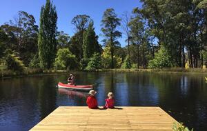 Picturesque Snowy Mountains Retreat - Yaouk, Australia