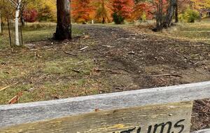 Picturesque Snowy Mountains Retreat - Yaouk, Australia