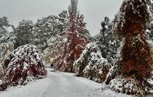 Picturesque Snowy Mountains Retreat - Yaouk, Australia