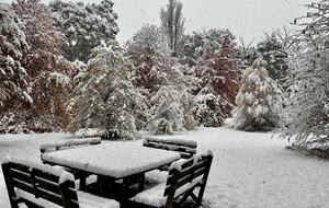 Picturesque Snowy Mountains Retreat - Yaouk, Australia