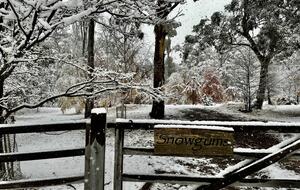 Picturesque Snowy Mountains Retreat - Yaouk, Australia