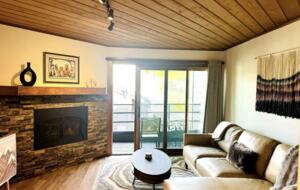 Cozy Townhouse in Crested Butte - Crested Butte, Colorado