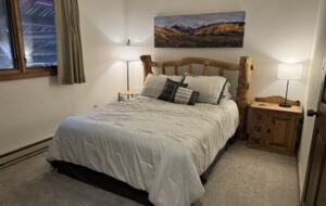 Cozy Townhouse in Crested Butte - Crested Butte, Colorado