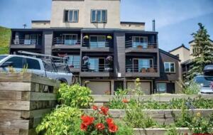 Cozy Townhouse in Crested Butte - Crested Butte, Colorado