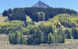 Cozy Townhouse in Crested Butte - Crested Butte, Colorado