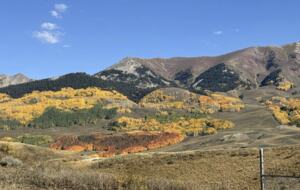Cozy Townhouse in Crested Butte - Crested Butte, Colorado