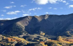 Cozy Townhouse in Crested Butte - Crested Butte, Colorado