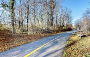 New England Hideaway | Bike Path, Beaches & Hiking Sanctuary - North Falmouth, Massachusetts