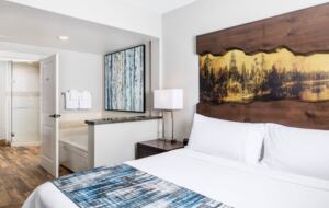 Marriott's Timber Lodge 2 bedroom villa - South Lake Tahoe, California