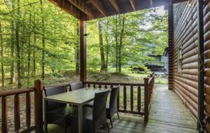 Log Cabin Luxury in the Woods - Fayetteville, West Virginia