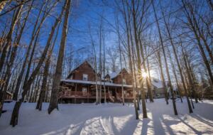 Log Cabin Luxury in the Woods - Fayetteville, West Virginia
