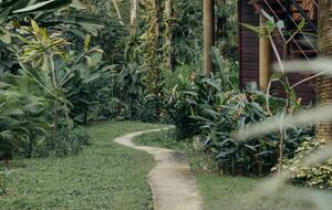 Tropical Getaway with Ocean/Jungle Views + Natural Swim Pool - Bocas del Toro Province, Panama