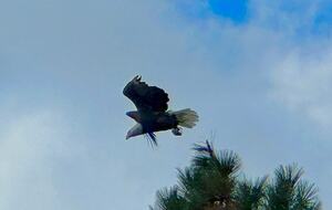 Lakeside Escape in Wine Country and Winter Wonderland - Oliver, Canada