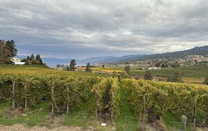 Lakeside Escape in Wine Country and Winter Wonderland - Oliver, Canada