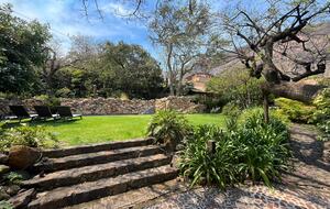 View to the pool from the patio dining table