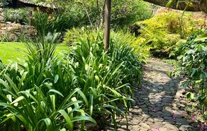 Casa del Puente - Malinalco, Mexico