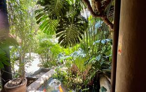 View from an outdoor hall to the koi fish pond