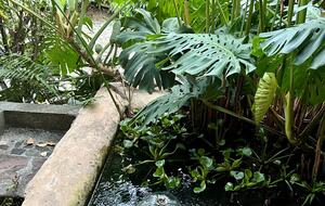 Casa del Puente - Malinalco, Mexico