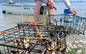 Tyee Beach House - Camano Island, Washington