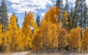 Fall Breckenridge Colorado