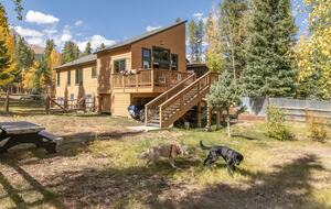 View from fenced in yard looking towards back deck.