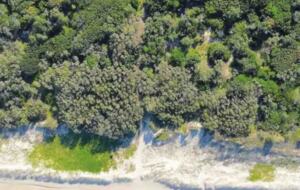 Castaways Beach House | Noosa Beachfront with Pool & Tennis - Castaways Beach, Australia