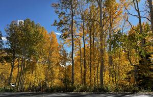 Herber City Hideaway | Beautiful views, Minutes to Park City Resorts, Hot Tub, and more! - Heber City, Utah