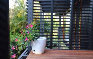 Bush Retreat - Burringbar, Australia