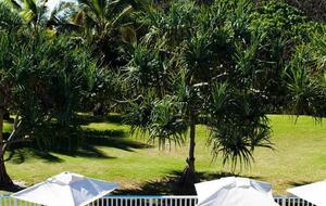 Halcyon House | Classic 1 - Cabarita Beach, Australia