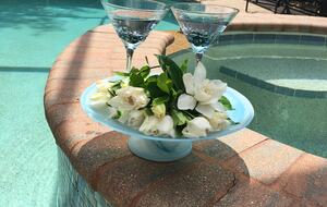 Exquisite Designer’s Home in a Prestigious Gated Community - Naples, Florida