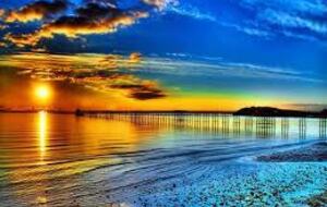 Exquisite Designer’s Home in a Prestigious Gated Community - Naples, Florida