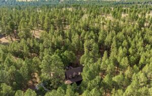 Hidden Acres Cabin - Flagstaff, Arizona