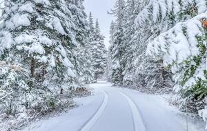 Elk Tracks Lodge - Easton, Washington