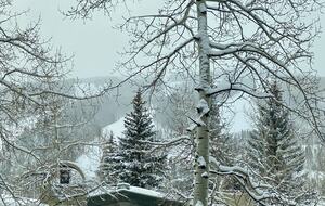 Vail Mountain Getaway - Vail, Colorado