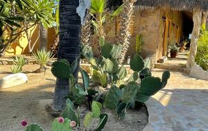 Beautiful Beachfront Hacienda - Baja California Sur, Mexico