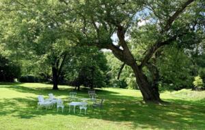 Historic Country Retreat in the “Nation’s Horse and Hunt Capital” - Middleburg, Virginia