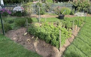 Historic Country Retreat in the “Nation’s Horse and Hunt Capital” - Middleburg, Virginia