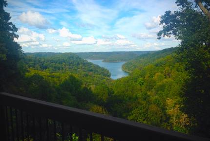 Watauga
